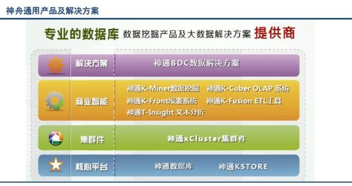 國內(nèi)外市場(chǎng)上數(shù)據(jù)庫系統(tǒng)的主要產(chǎn)品及其功能概覽